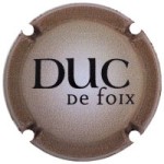 Duc de Foix X208289