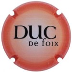 Duc de Foix X208291