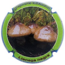 Xic d'Alfons X215502 (Llenega Negra)