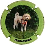 Terraferma X222990