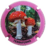 Terraferma X232586