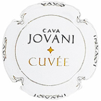 Jovani Vins X237124 - CPC JVV304